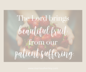 The Lord brings beautiful fruit from our patient suffering. Biblical encouragement, Scripture, and devotionals for women.